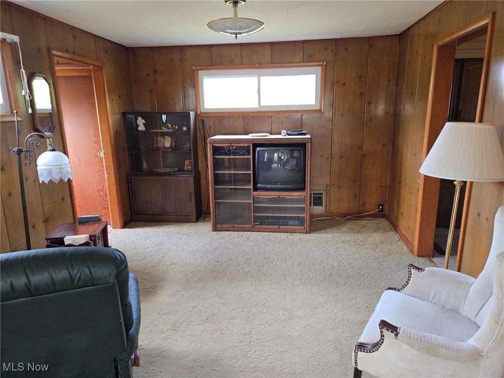 360 Glass Road Malta, OH 43758 - Photo 3 of 32 Carpeted family room featuring wooden walls