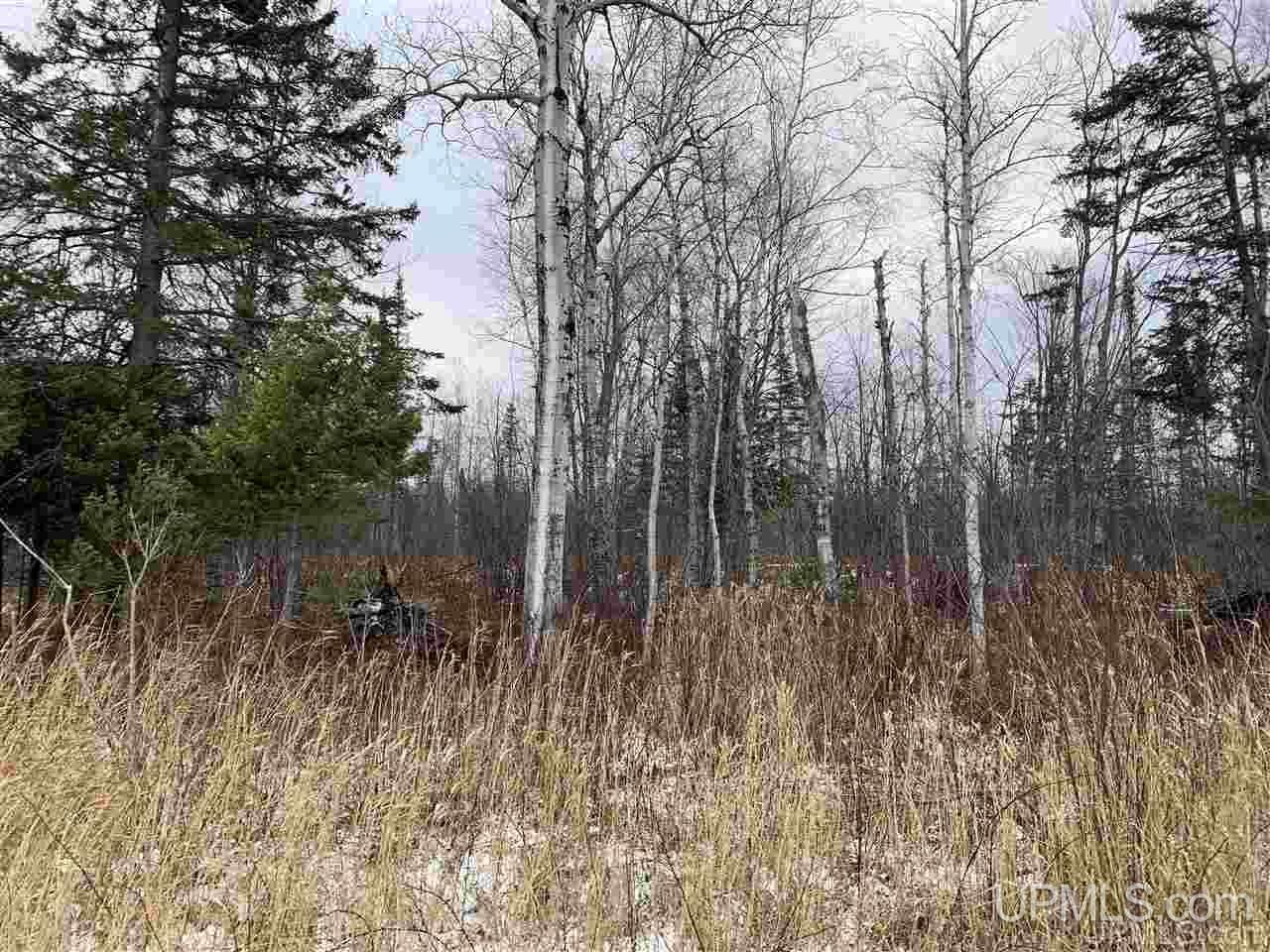 Tbd Cedar Bay Road Calumet, MI 49913 - Photo 3 of 4