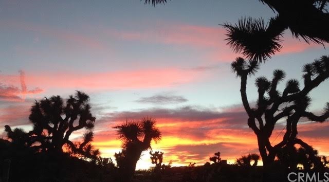 1464 Mile Square Road Joshua Tree, CA 92252 - Photo 1 of 1