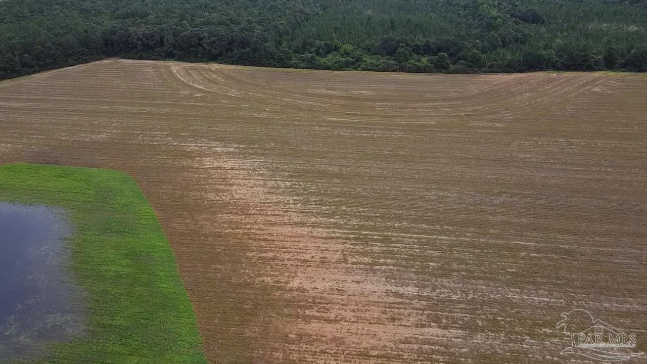 7600 Bratt Road Century, FL 32535 - Photo 9 of 41
