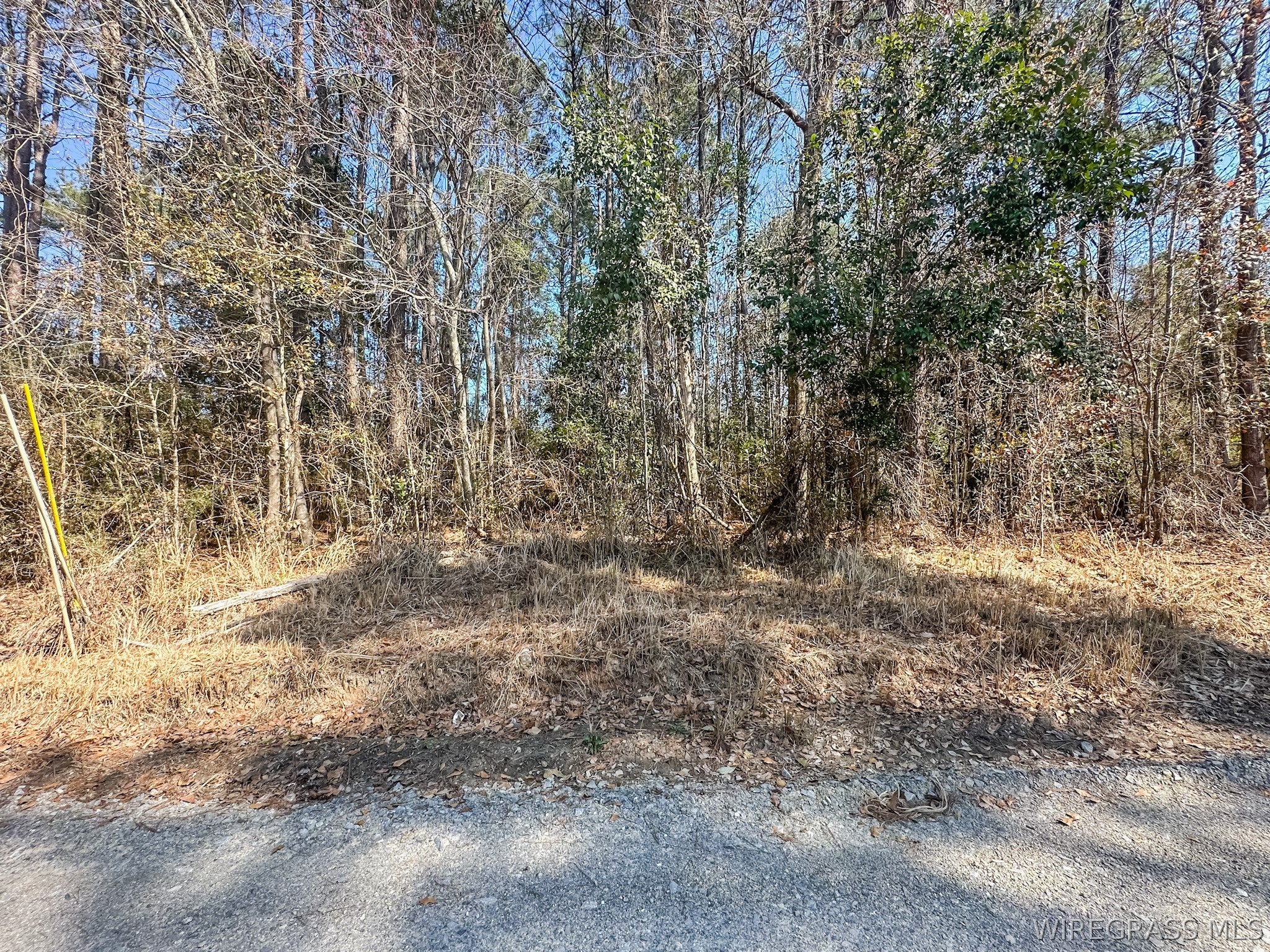 0 Faith Road Hartford, AL 36344 - Photo 4 of 7 Gallery Image 4