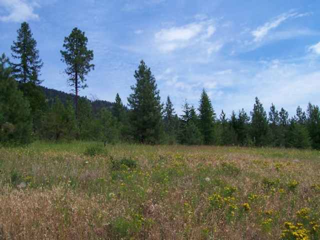 Tbd Lt J Old Dominion Road Colville, WA 99114 - Photo 1 of 4 Gallery Image 1