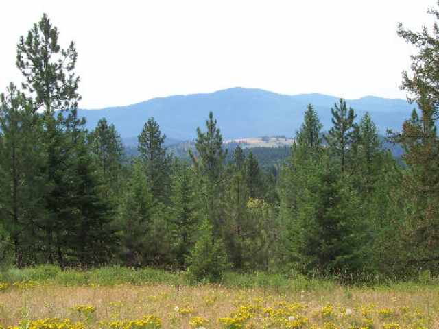 Tbd Lt J Old Dominion Road Colville, WA 99114 - Photo 2 of 4 Gallery Image 2