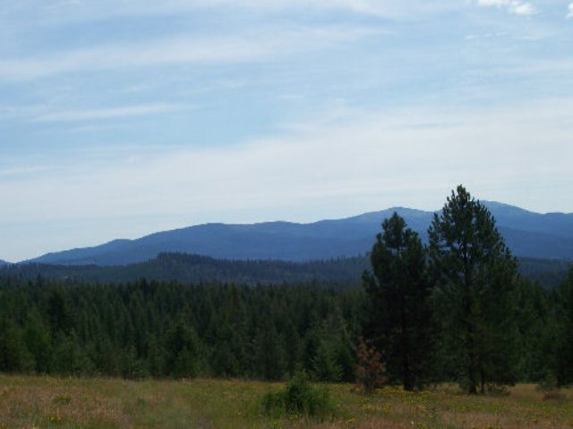 Tbd Lt J Old Dominion Road Colville, WA 99114 - Photo 4 of 4 Gallery Image 4