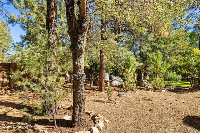 a view of a yard with large trees