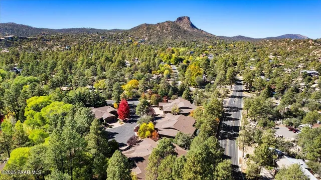 a view of a city with lush green forest