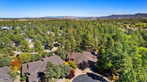 a view of a city with a mountain in the background