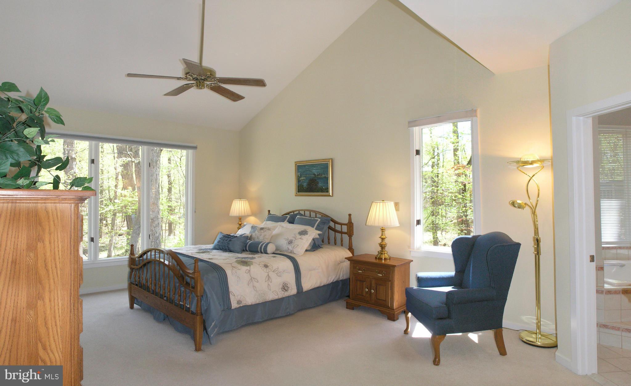 11301 Woodbrook Lane Reston, VA 20194 - Photo 16 of 30 Main Level Bedroom (Master)