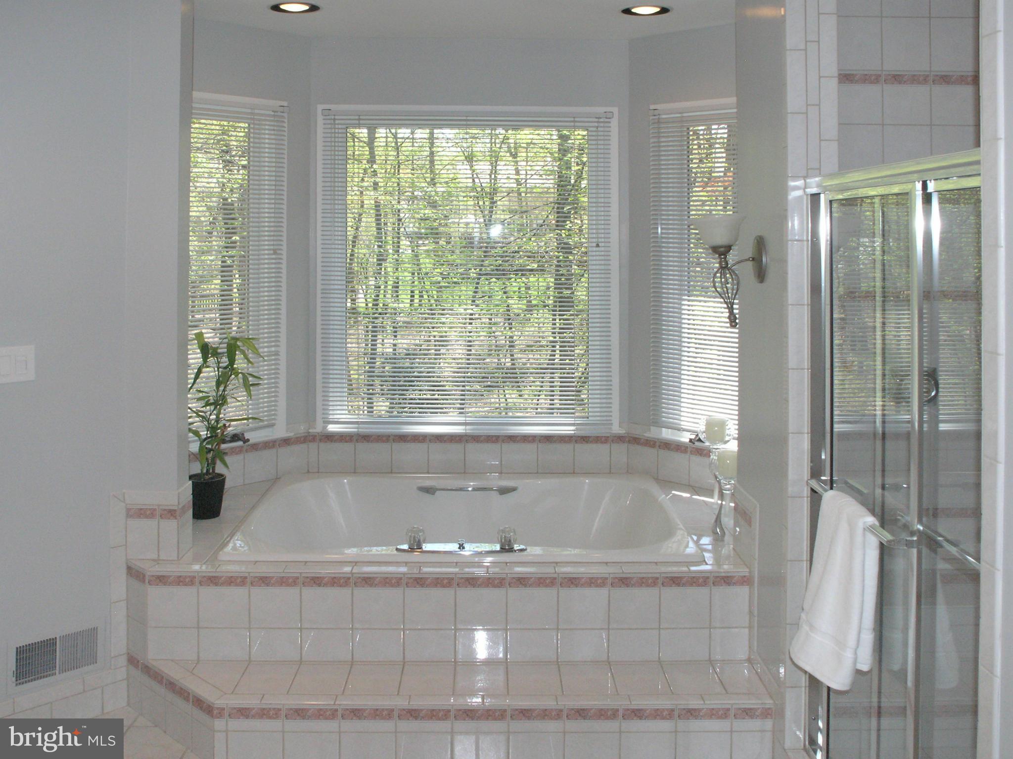 11301 Woodbrook Lane Reston, VA 20194 - Photo 18 of 30 Bath (Master)