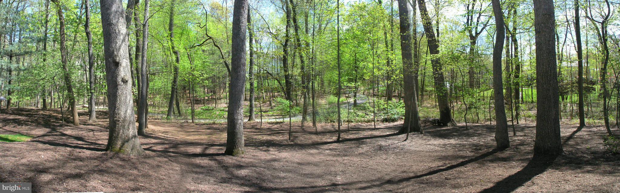 11301 Woodbrook Lane Reston, VA 20194 - Photo 26 of 30 Expansive Treed Backyard with paths beyond