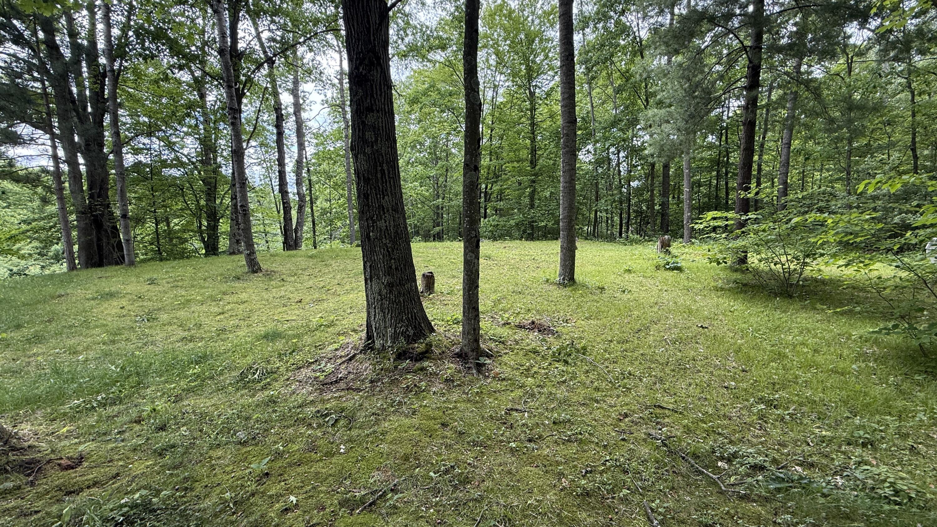 South Woods Road Branch, MI 49402 - Photo 7 of 14 vacant.lot3