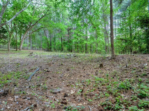 a view of a backyard with large trees and plants