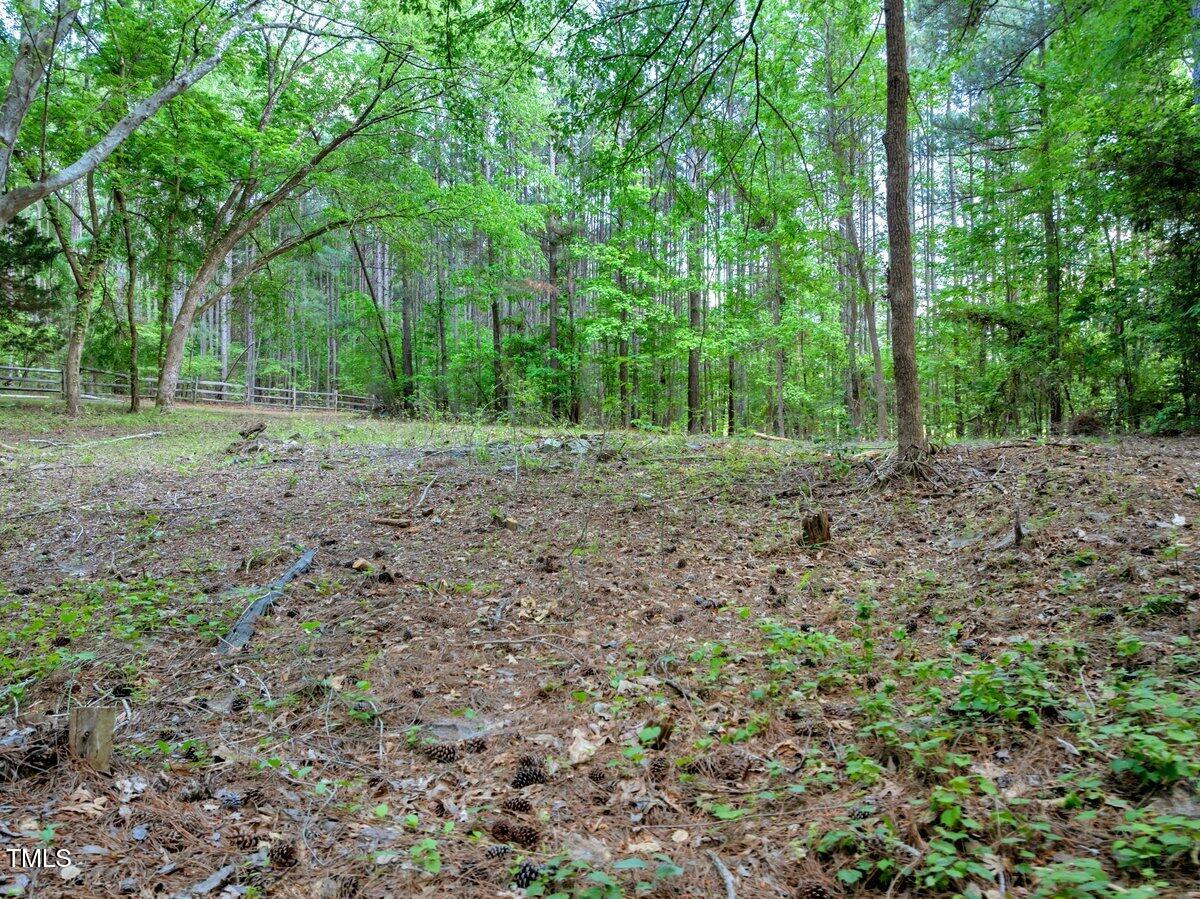 1.95-acres Buchanan Road Manson, NC 27553 - Photo 11 of 15 a view of a yard with lots of trees