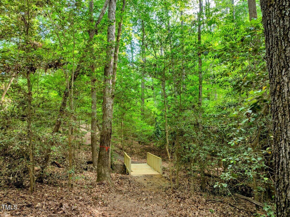 1.95-acres Buchanan Road Manson, NC 27553 - Photo 13 of 15