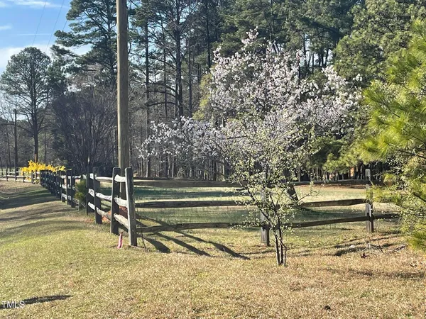 a view of a yard with lots of trees