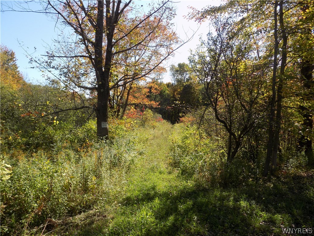 V/l Wango Road Forestville, NY 14062 - Photo 1 of 1 Gallery Image 1