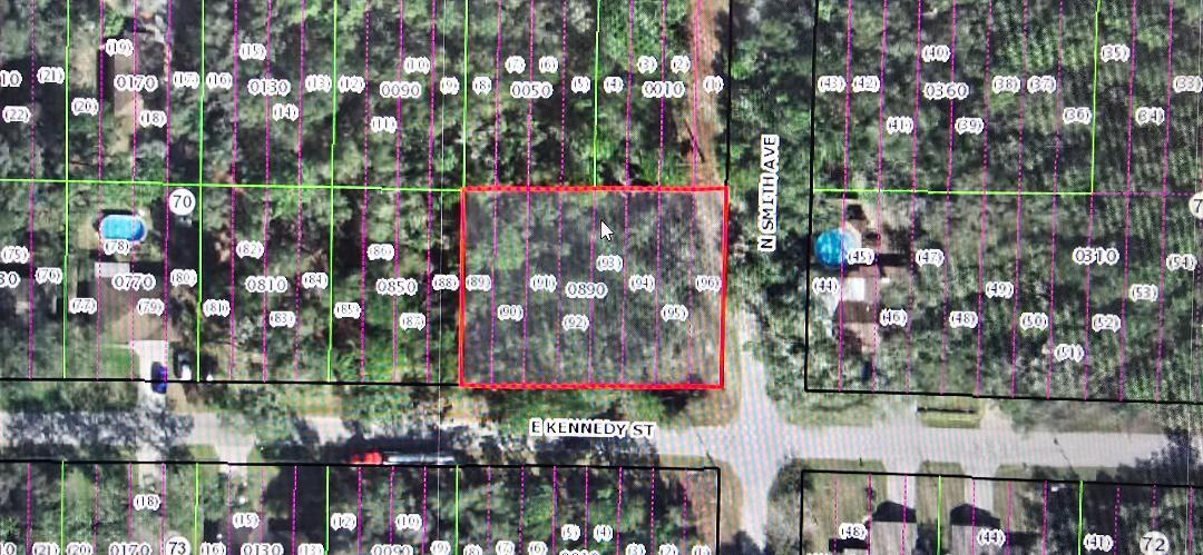 3345 East Kennedy Street Inverness, FL 34453 - Photo 3 of 3 LOT 2