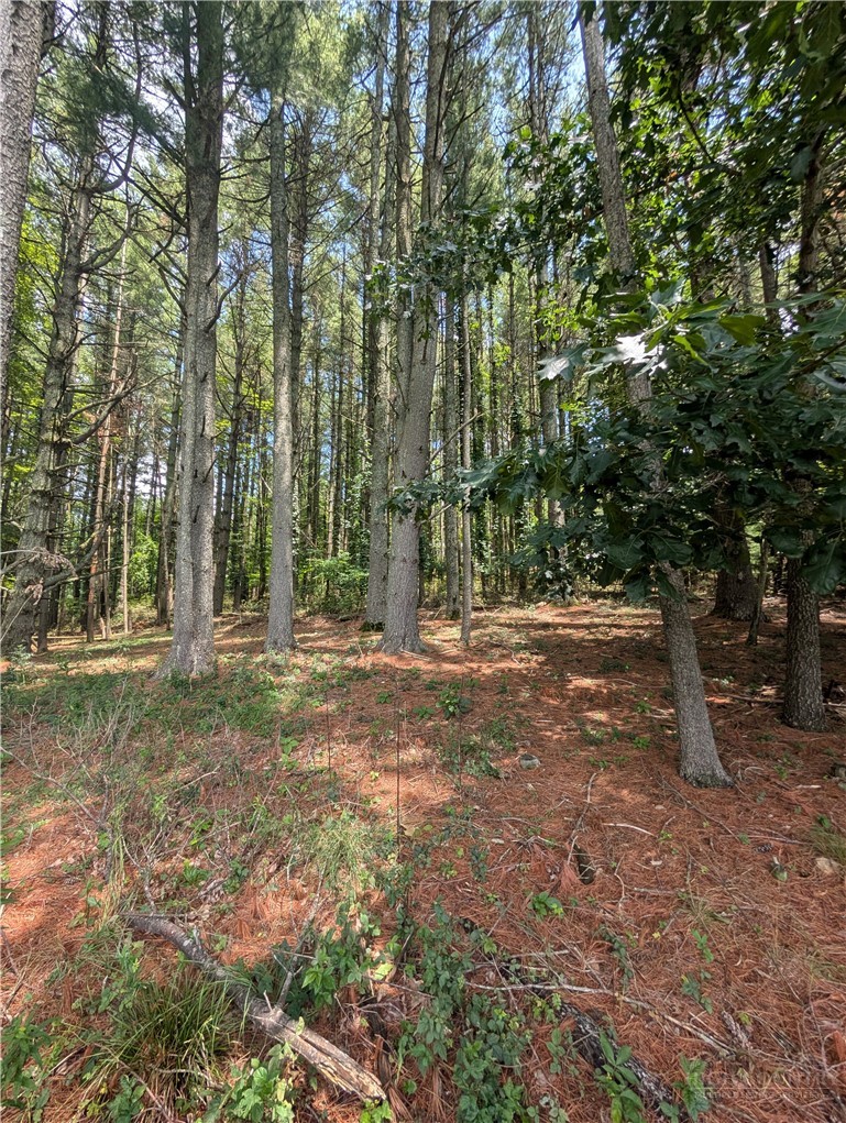 Doell Lane, Unit 20 Sparta, NC 28675 - Photo 16 of 18