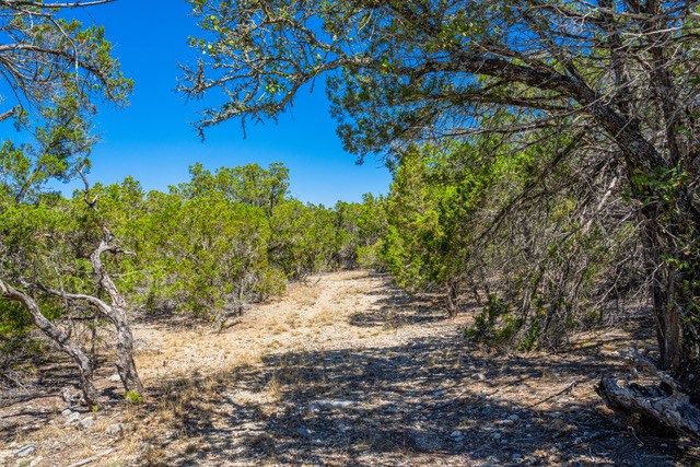 1135 Byas Springs Road Mountain Home, TX 78058 - Photo 13 of 23 a view of a yard with plants and a tree