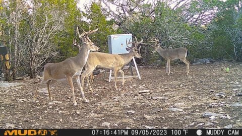 1135 Byas Springs Road Mountain Home, TX 78058 - Photo 20 of 23 a chairs and a table in a yard