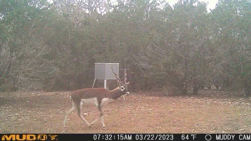 1135 Byas Springs Road Mountain Home, TX 78058 - Photo 22 of 23 a view of wall