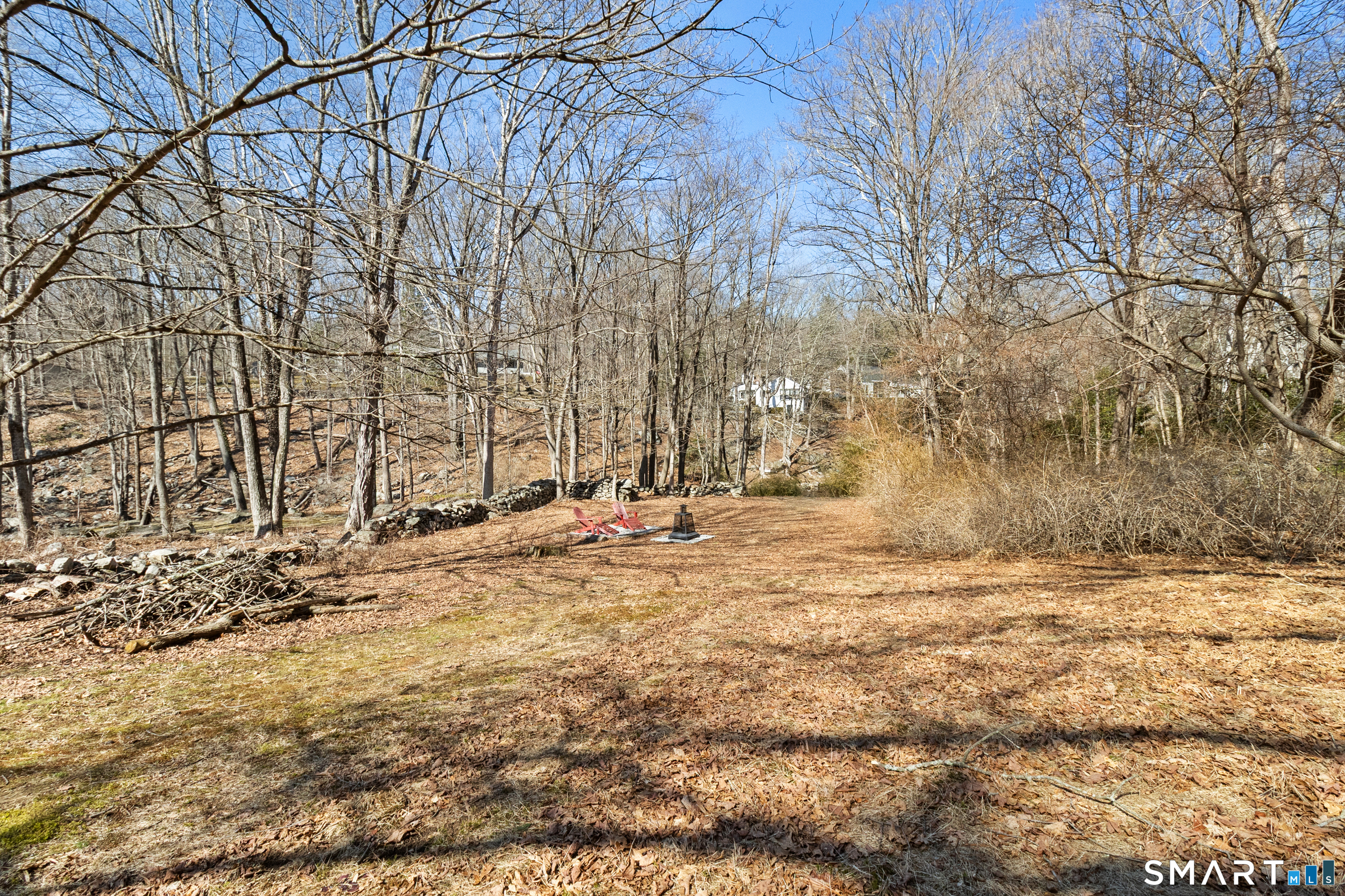 145 Lyons Plain Road Weston, CT 06883 - Photo 32 of 33 a view of dirt yard with a large tree