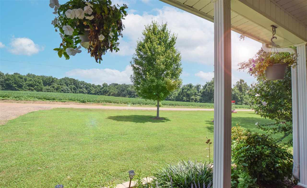 947 South Wolverine Road Troy, TN 38260 - Photo 5 of 20 a view of a garden from a window
