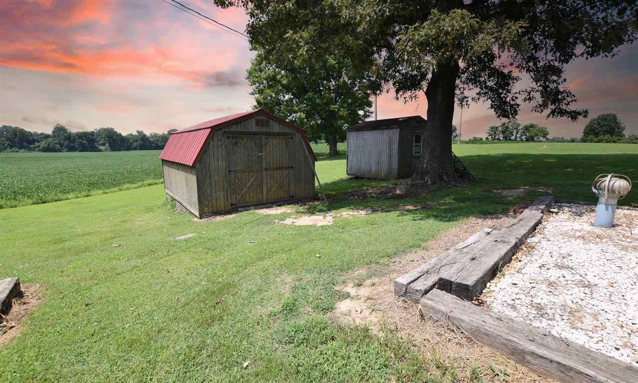 947 South Wolverine Road Troy, TN 38260 - Photo 8 of 20 a view of a wooden house with a yard and large tree