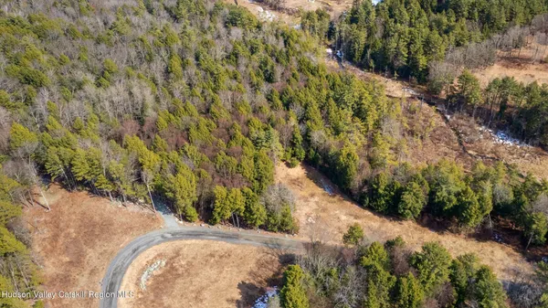 a view of a garden with a pathway