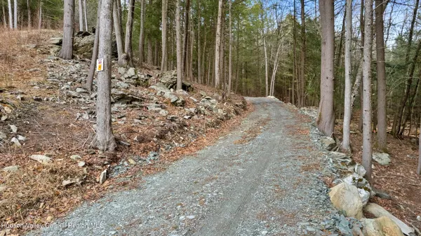 a view of dirt yard with a trees