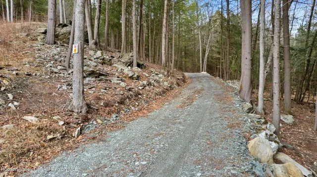 a view of dirt yard with a trees