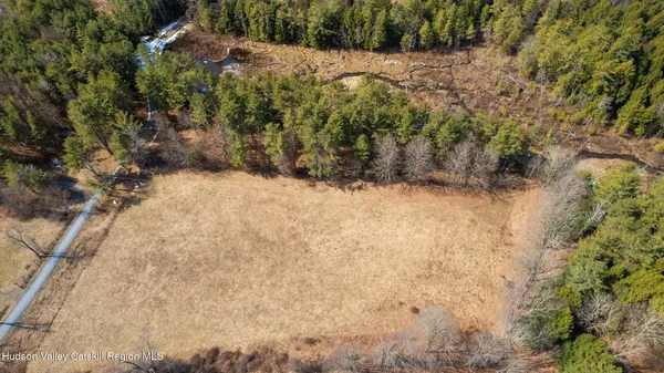 a view of a yard with trees