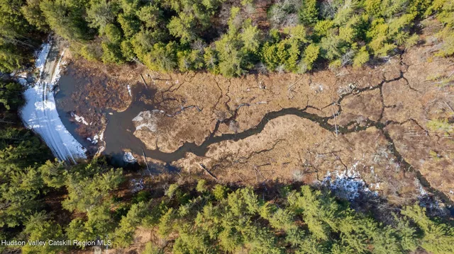 a view of a yard with trees