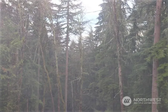 a view of a street sign