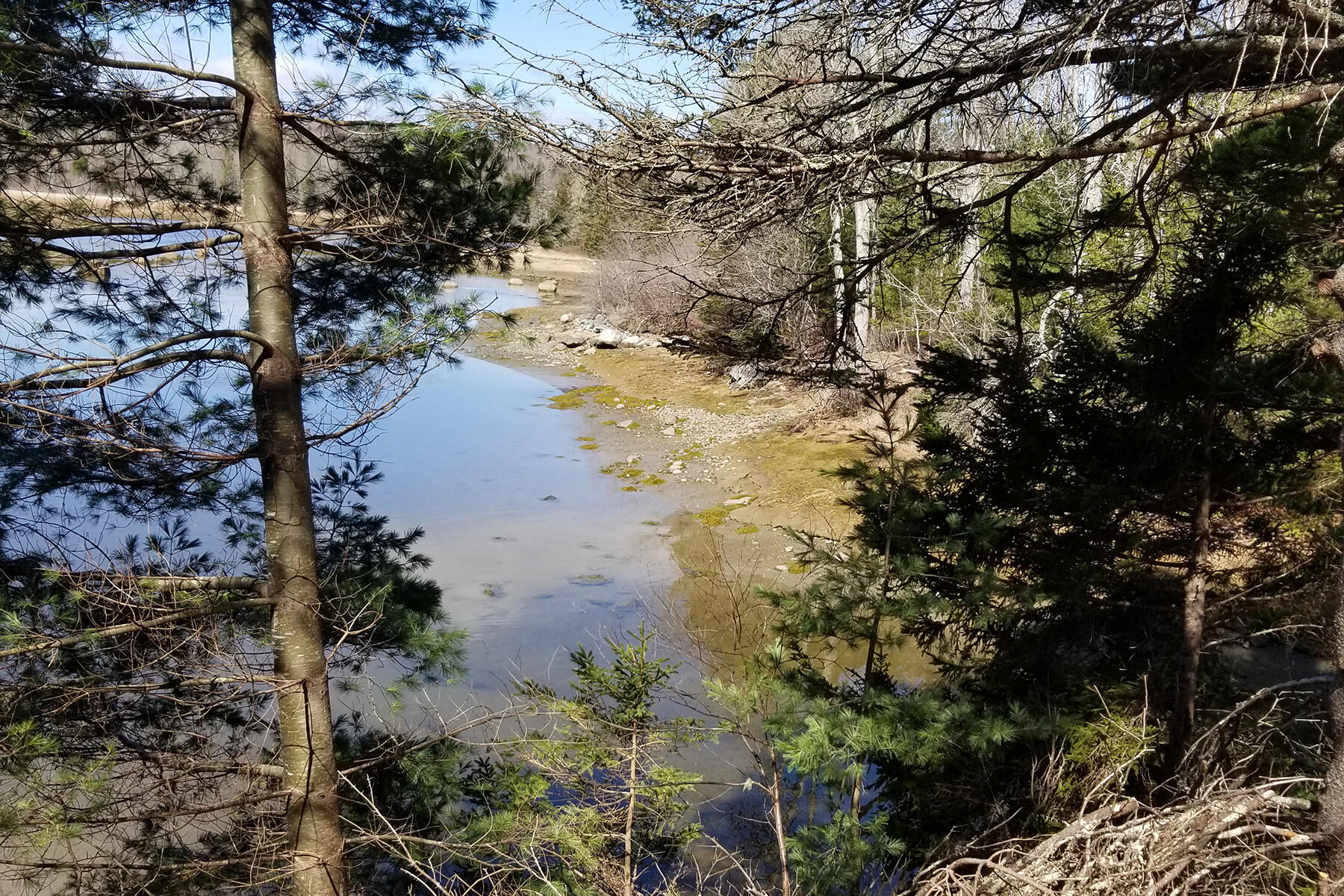 9 River Road, Unit LOT 6 Brooklin, ME 04616 - Photo 2 of 6 20200404_115303