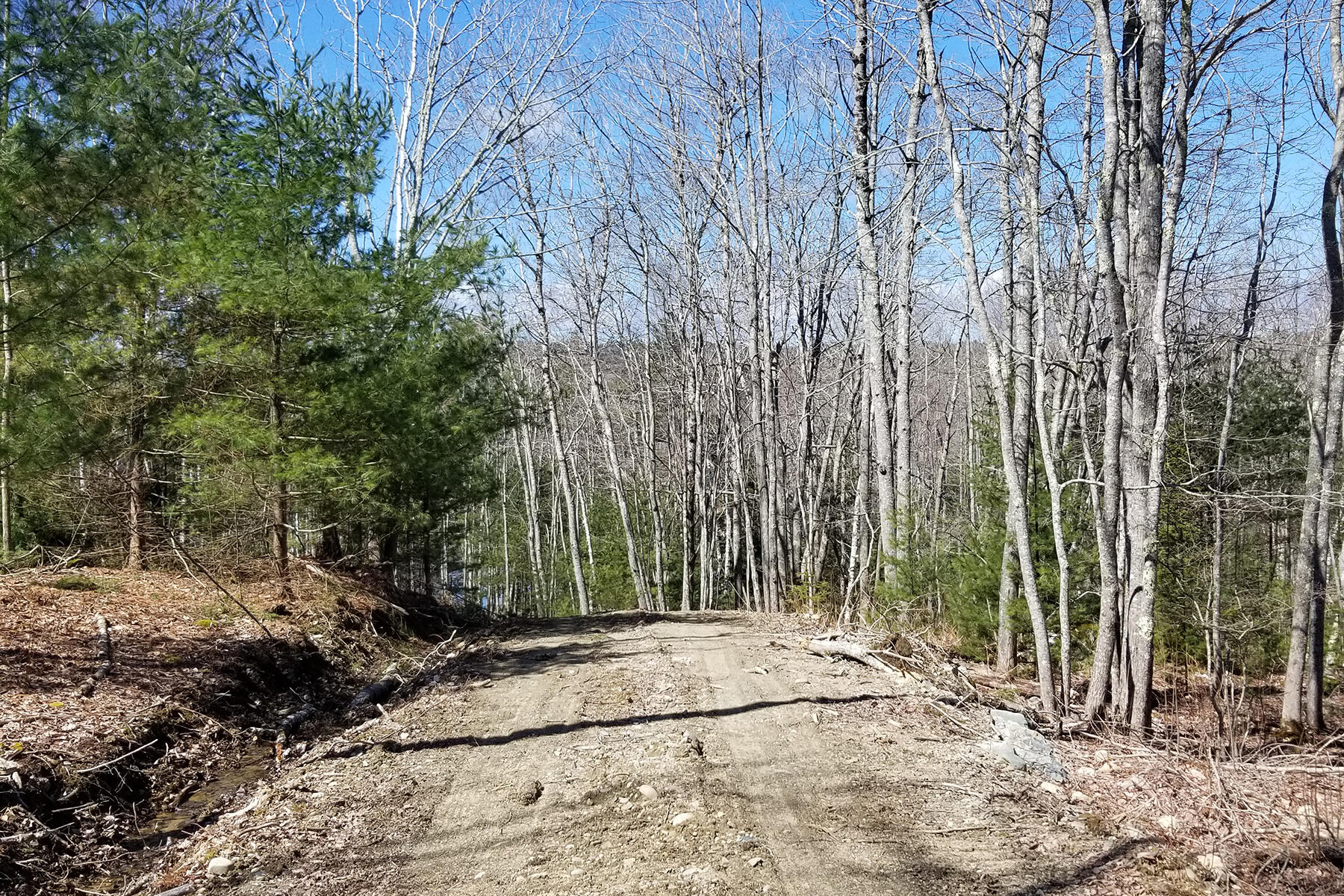 9 River Road, Unit LOT 6 Brooklin, ME 04616 - Photo 4 of 6 20200404_115109