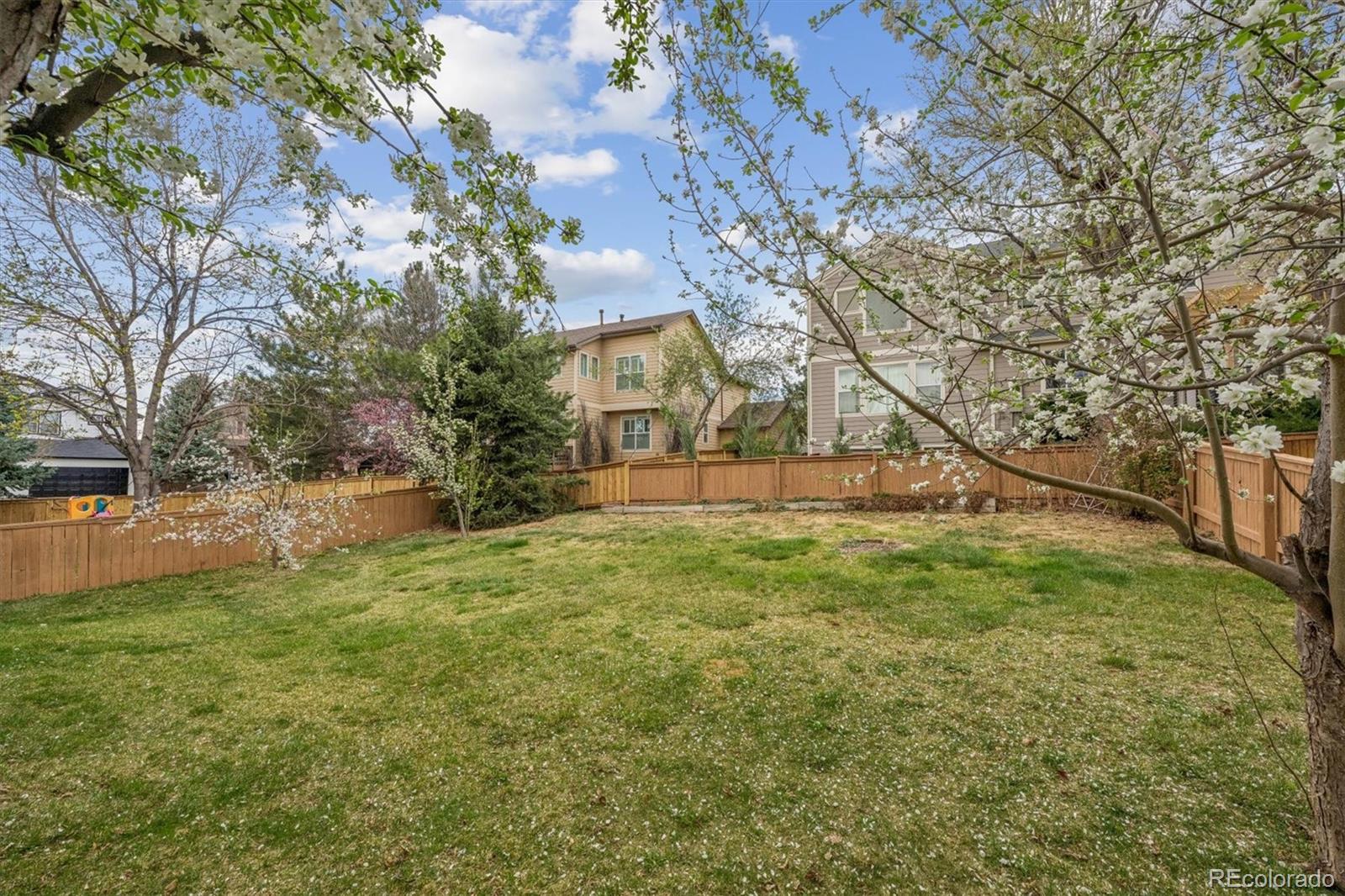 557 West Stellars Jay Drive Highlands Ranch, CO 80129 - Photo 31 of 41 a view of outdoor space yard and tree