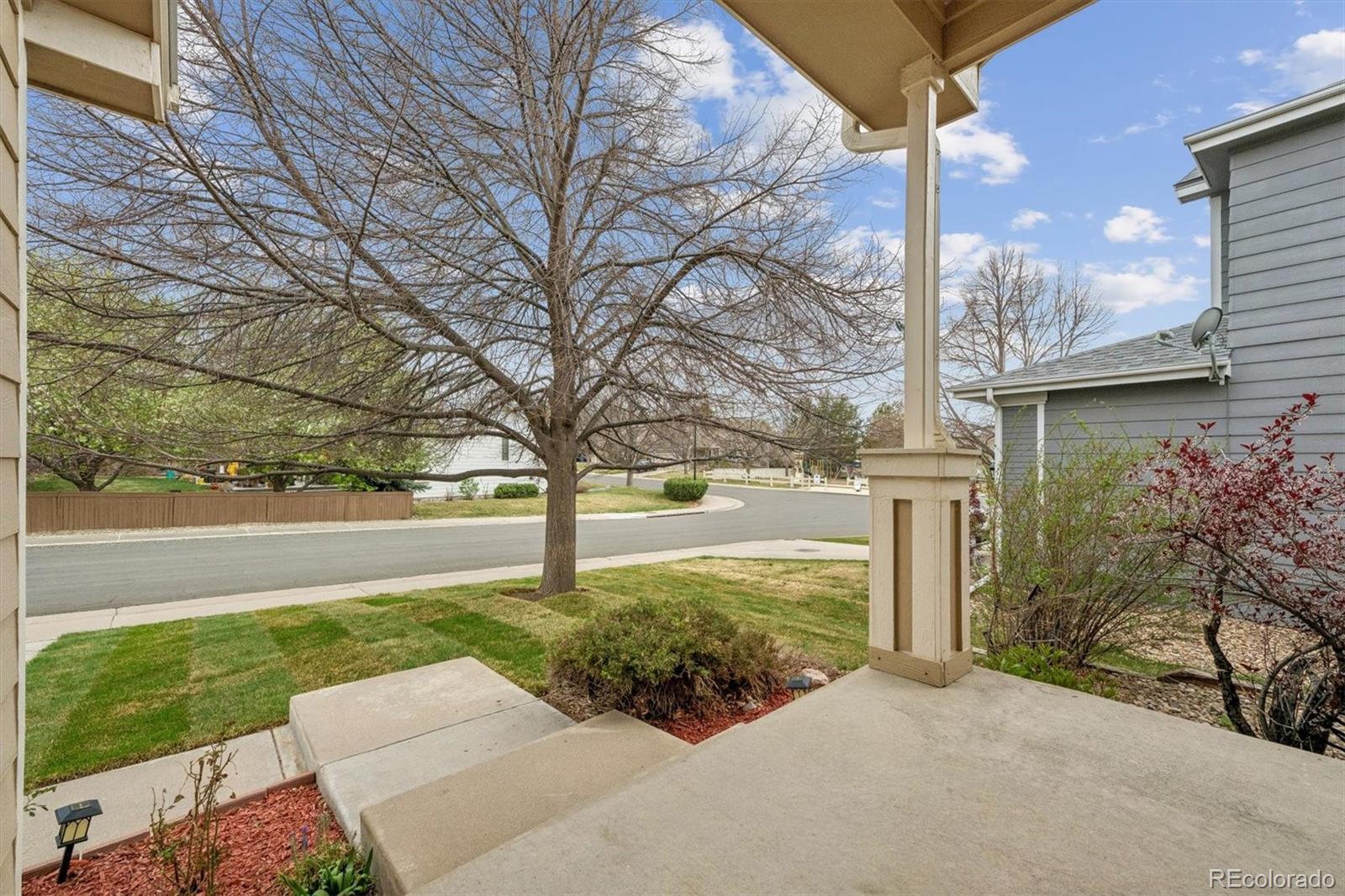 557 West Stellars Jay Drive Highlands Ranch, CO 80129 - Photo 34 of 41 a view of a garden with large tree