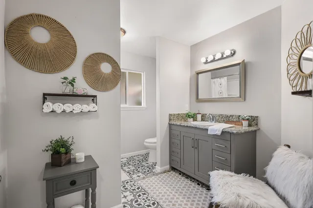 a view of a park with large trees