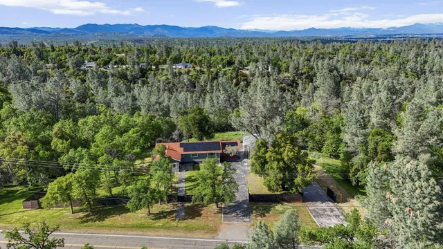 a living room with furniture and potted plant