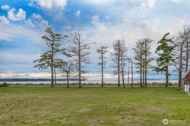 a view of a swimming pool with a yard