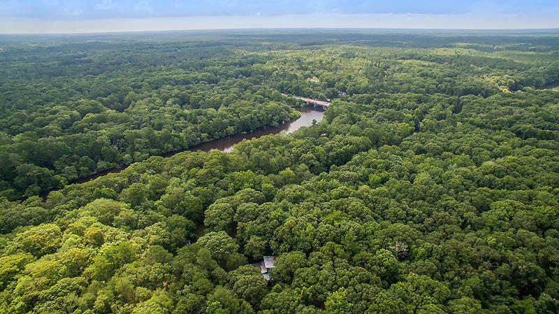 149 Franks Lane Ridgeville, SC 29472 - Photo 40 of 47 DJI_0005