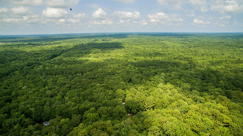 149 Franks Lane Ridgeville, SC 29472 - Photo 41 of 47 DJI_0006