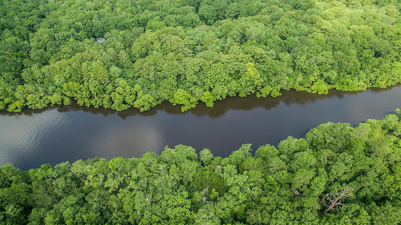 149 Franks Lane Ridgeville, SC 29472 - Photo 43 of 47 DJI_0008