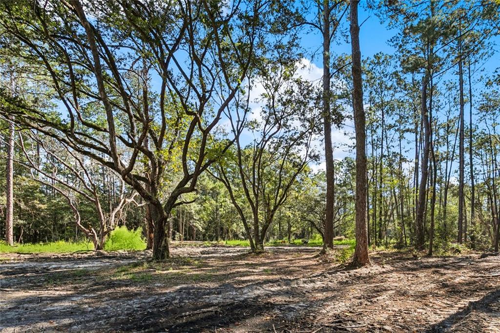 0 Frank Gilbert Lane Lacombe, LA 70445 - Photo 11 of 16