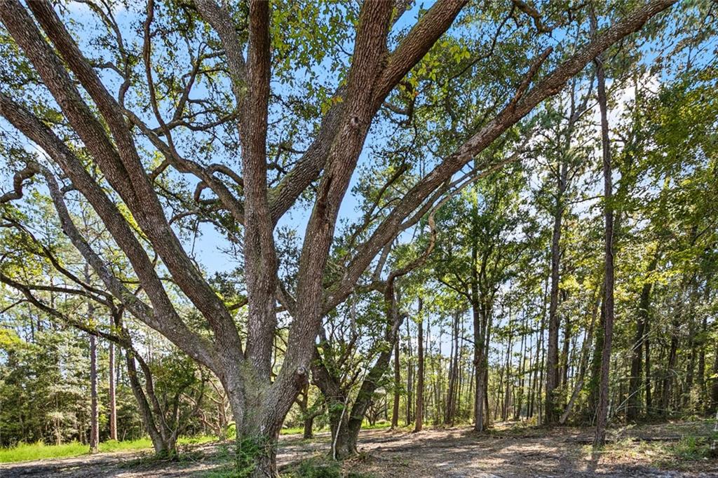 0 Frank Gilbert Lane Lacombe, LA 70445 - Photo 12 of 16