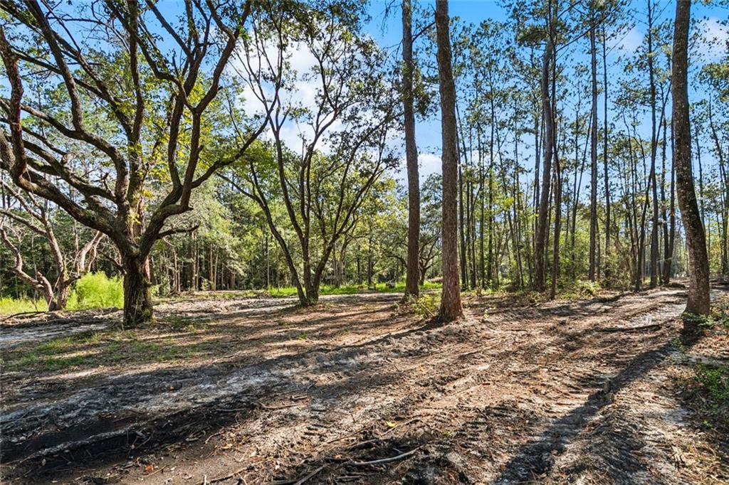 0 Frank Gilbert Lane Lacombe, LA 70445 - Photo 13 of 16