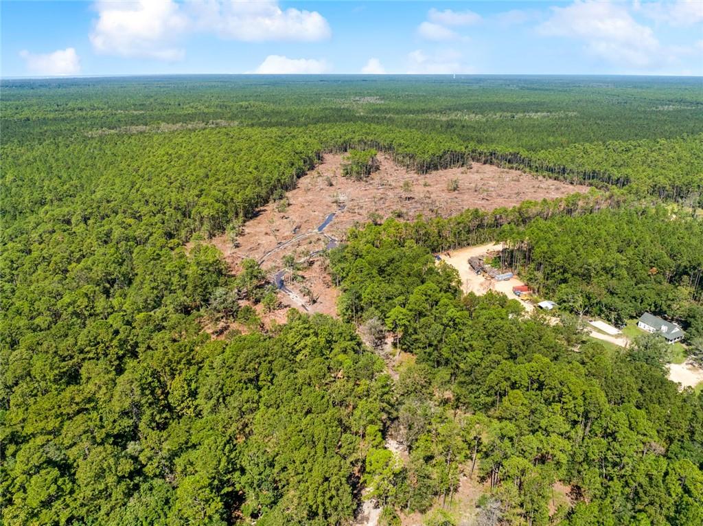 0 Frank Gilbert Lane Lacombe, LA 70445 - Photo 15 of 16