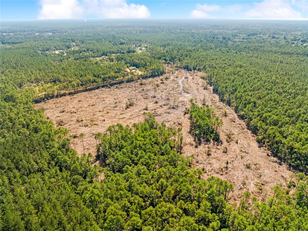 0 Frank Gilbert Lane Lacombe, LA 70445 - Photo 2 of 16