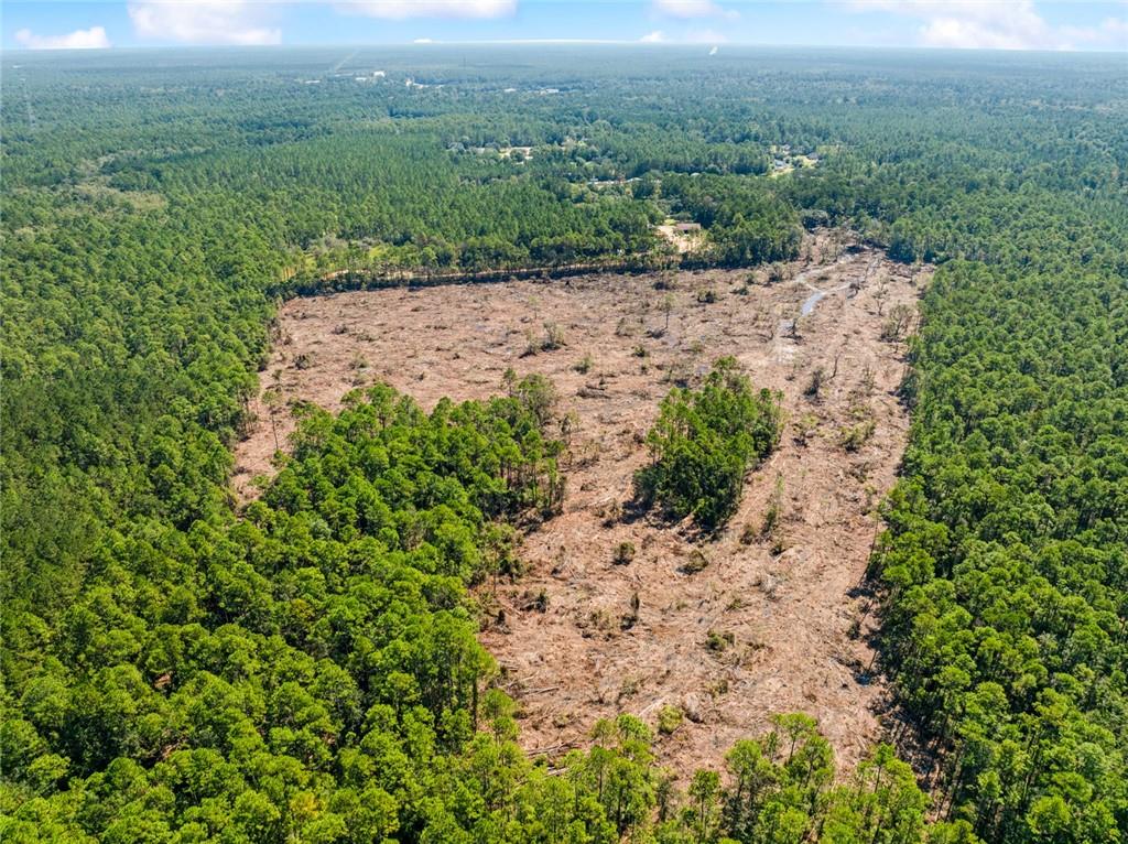 0 Frank Gilbert Lane Lacombe, LA 70445 - Photo 3 of 16